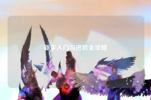 新手入门与进阶全攻略