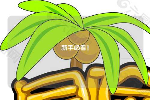 新手必看！
